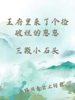 王府里来了个捡破烂的崽崽